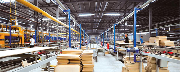 专业的生产设备